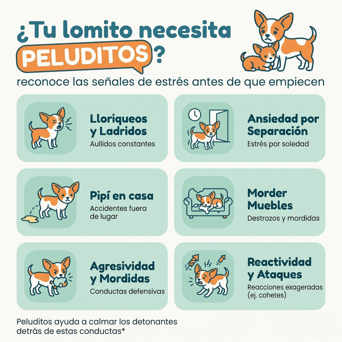 Calma a tu lomito 24/7 sin pastillas