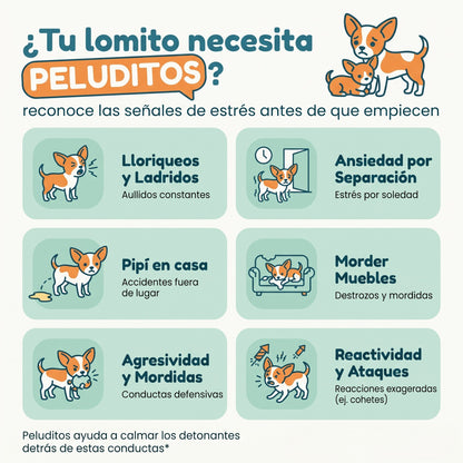 Calma a tu lomito 24/7 sin pastillas