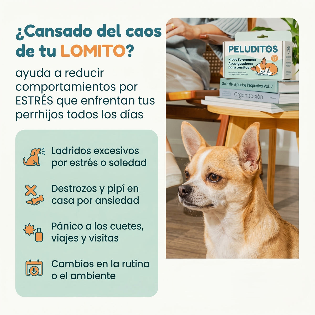 Calma a tu lomito 24/7 sin pastillas