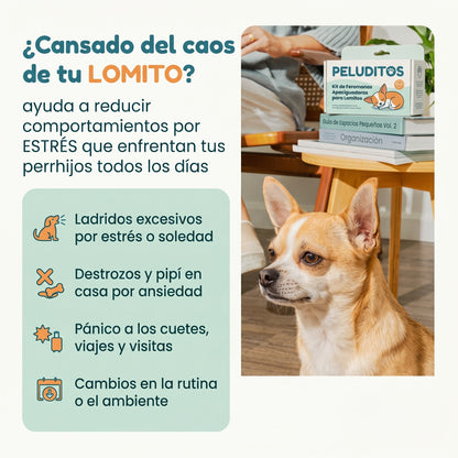 Calma a tu lomito 24/7 sin pastillas