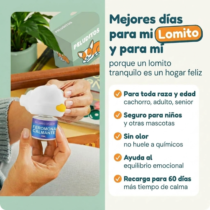 Calma a tu lomito 24/7 sin pastillas