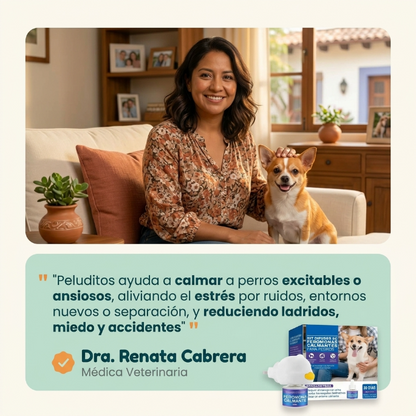 Calma a tu lomito 24/7 sin pastillas